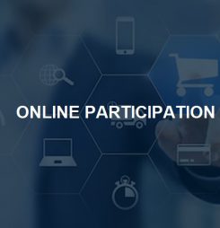 Online Participation